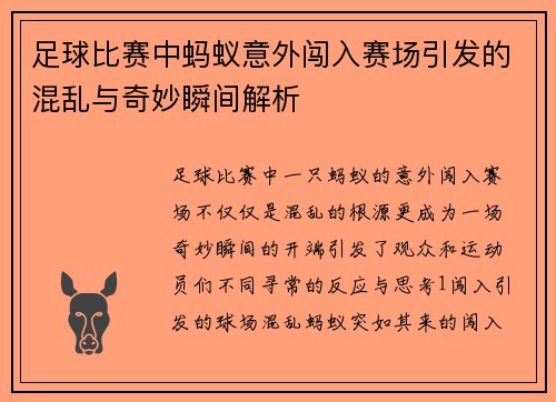 足球比赛中蚂蚁意外闯入赛场引发的混乱与奇妙瞬间解析