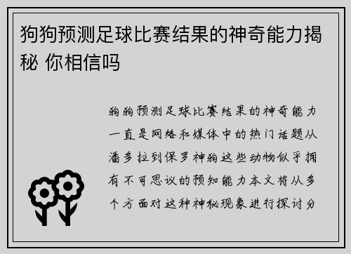 狗狗预测足球比赛结果的神奇能力揭秘 你相信吗