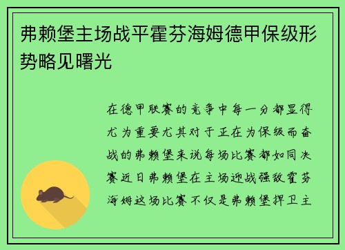 弗赖堡主场战平霍芬海姆德甲保级形势略见曙光