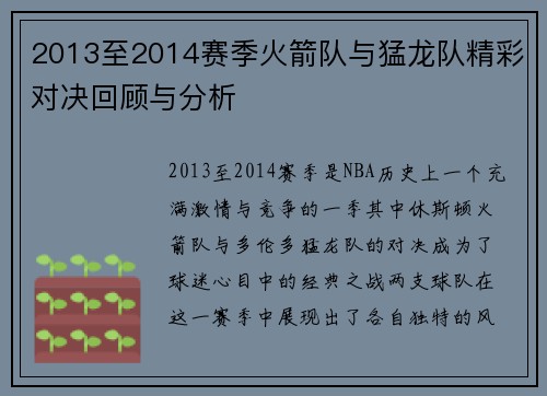 2013至2014赛季火箭队与猛龙队精彩对决回顾与分析