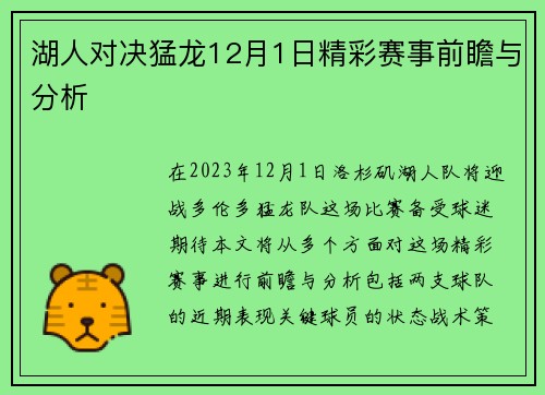 湖人对决猛龙12月1日精彩赛事前瞻与分析