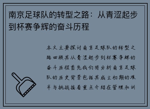 南京足球队的转型之路：从青涩起步到杯赛争辉的奋斗历程
