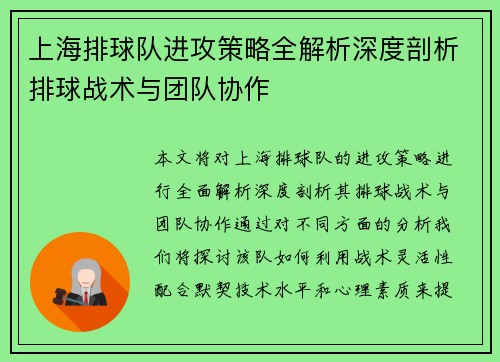 上海排球队进攻策略全解析深度剖析排球战术与团队协作